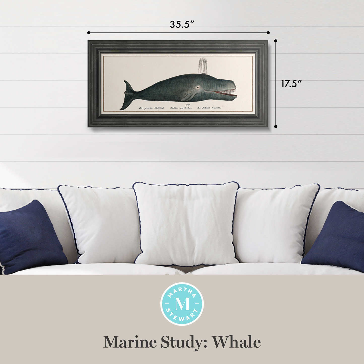 Martha Stewart Lily Pond | Marine Study: Whale | Framed Coastal Cottage Wall Art