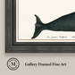 Martha Stewart Lily Pond | Marine Study: Whale | Framed Coastal Cottage Wall Art