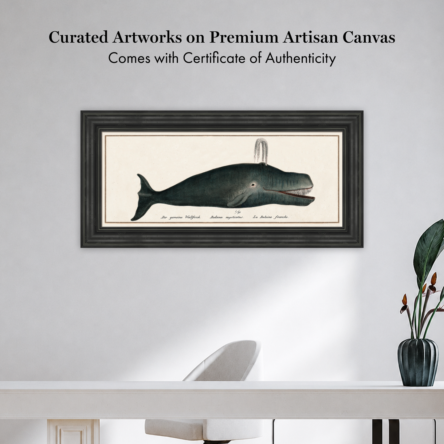 Martha Stewart Lily Pond | Marine Study: Whale | Framed Coastal Cottage Wall Art