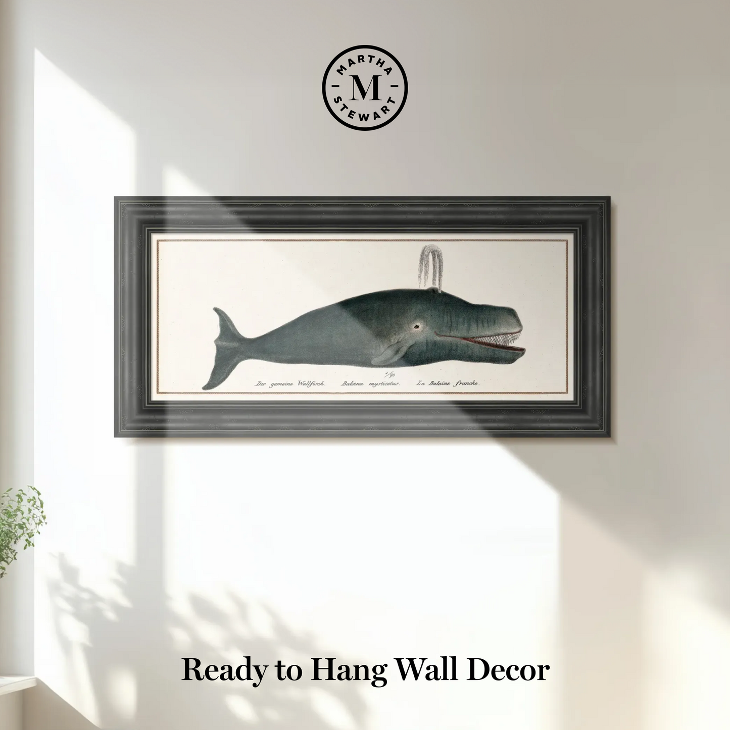 Martha Stewart Lily Pond | Marine Study: Whale | Framed Coastal Cottage Wall Art