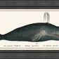 Martha Stewart Lily Pond | Marine Study: Whale | Framed Coastal Cottage Wall Art