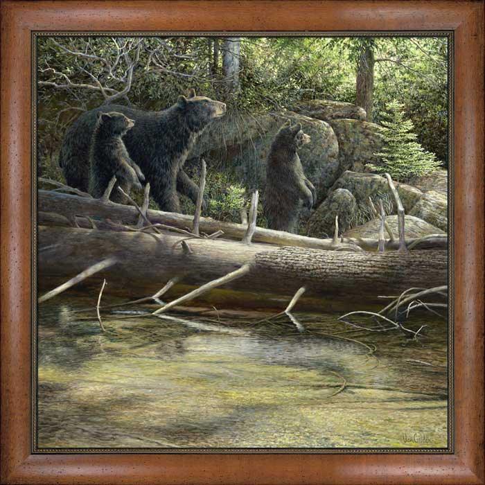 Streamside_BlackBear_VanGilder_F913722075d_2c2c1a7c-8174-400a-97cb-855f29e0db24.jpg