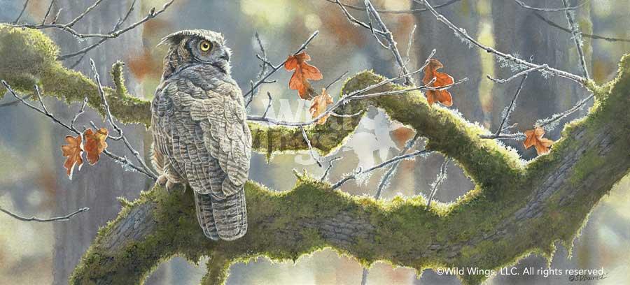 TreetopHideaway_GreatHorned_Owl_Bourdet_1085810030d_ce35fbff-3cc6-4e45-900b-73f139f7d68e.jpg
