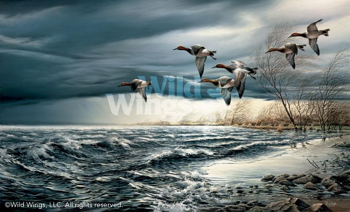 Whitewater_Redlin_Print_1701586089d.jpg