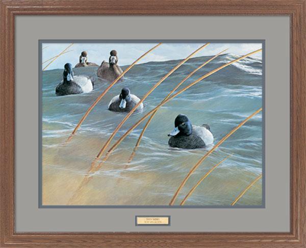 Windy_Waters_Van_Gilder_Bluebills_EPR9139708d_2d65d0c5-ada1-425b-992d-cf23f9d0db4b.jpg