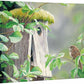 A Fixer Upper - House Wren - 13" x 18" Gallery Wrapped Canvas