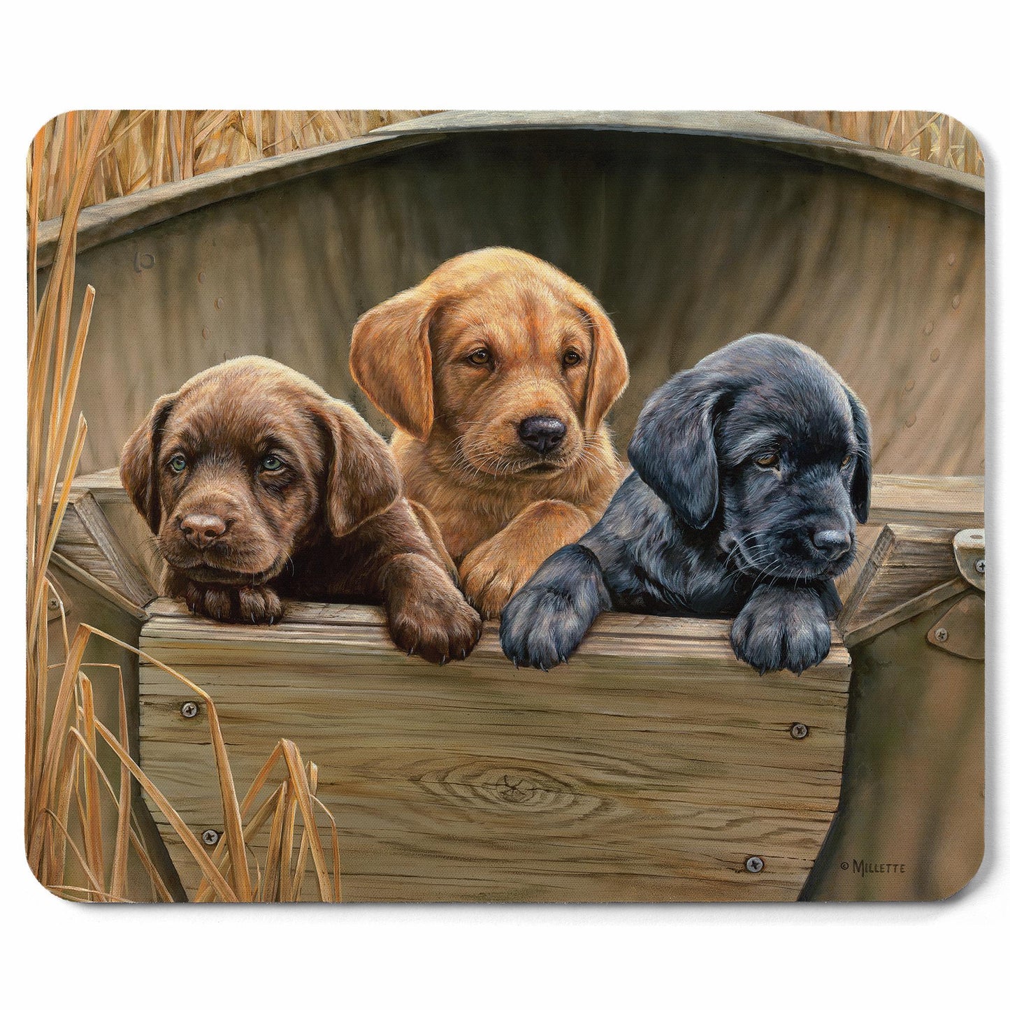 All Hands on Deck -  Lab Pups