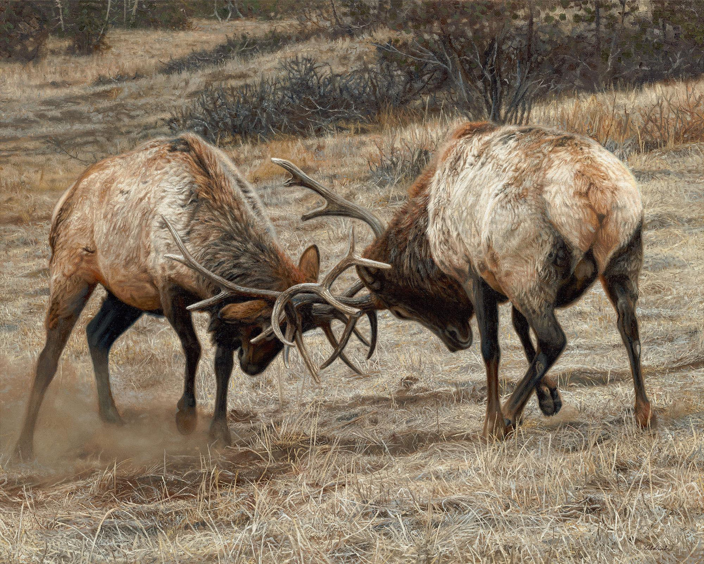 Anything for Love—Elk - Limited Edition Paper