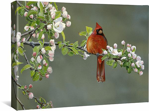 Apple Blossom Crimson - Cardinal - 13" x 18" Gallery Wrapped Canvas