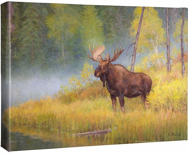 Autumn Bull - Moose - 13" x 18" Gallery Wrapped Canvas