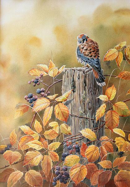 autumn-mistbourdet-1085077032_5bc026b2-9668-4e1e-aa86-7487f85e9b98.jpg
