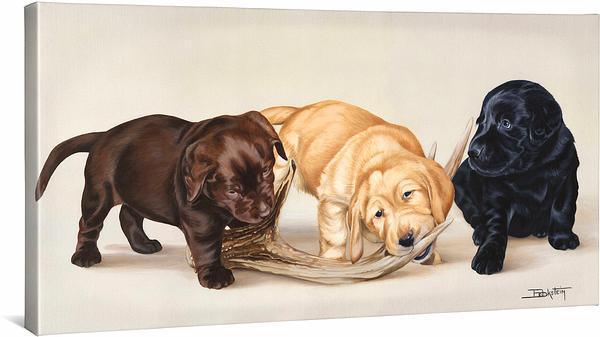 Bad Boys - Labs - 18" x 36" Gallery Wrapped Canvas