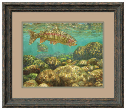 Baetis Feast—Rainbow Trout - Limited Edition Paper
