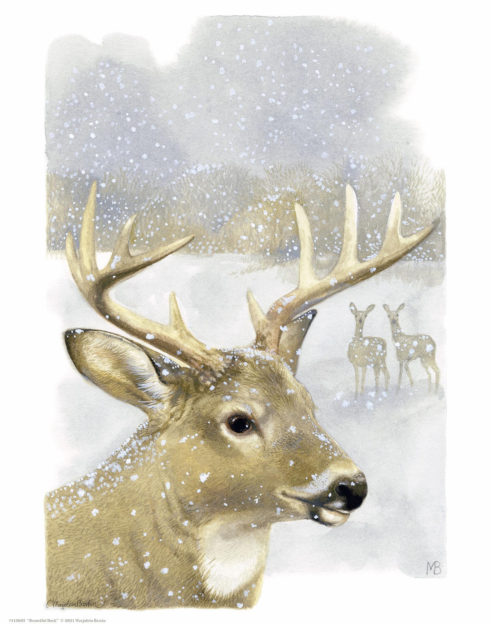 beautiful-buck14x11-apbastin-1058100765.jpg