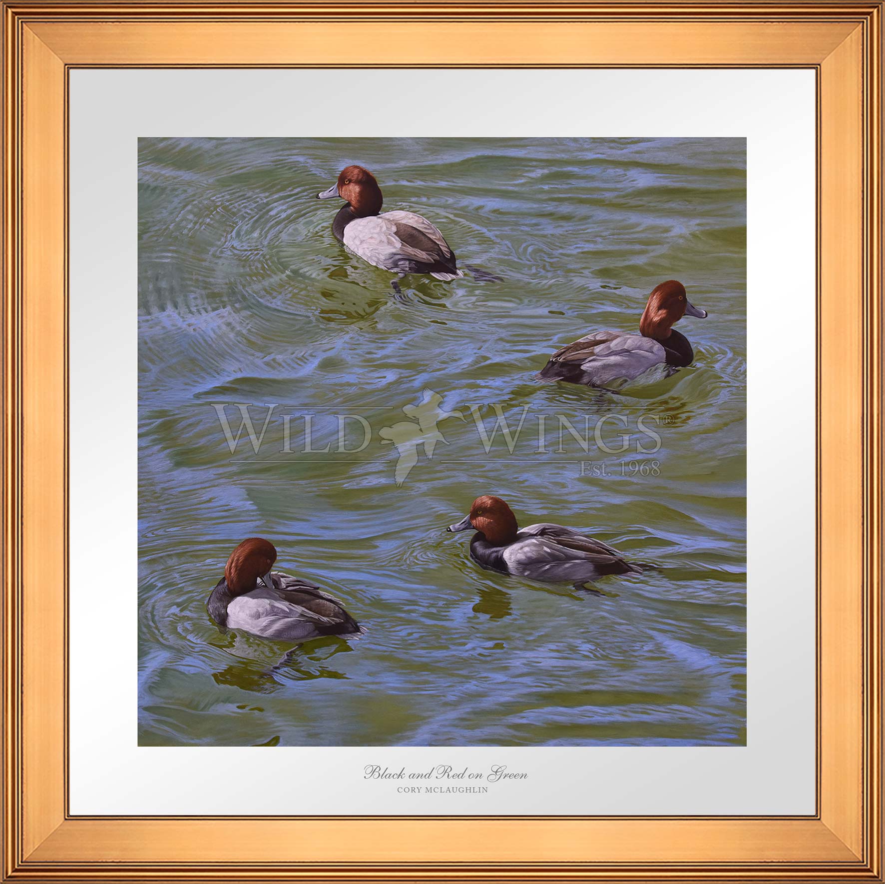 Framed swimming ducks
