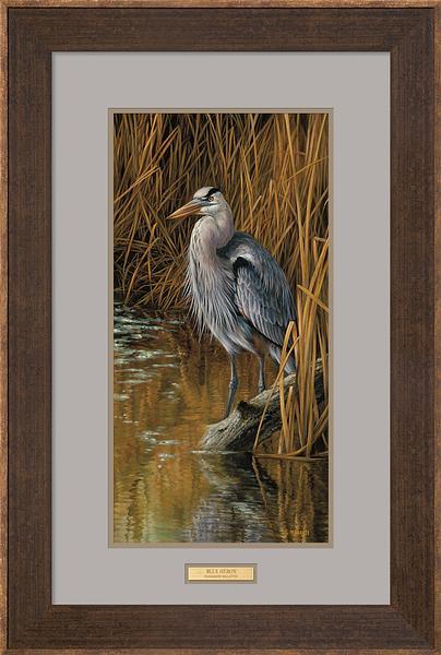blue-heron-rosemary-millette-F593067044R.jpg