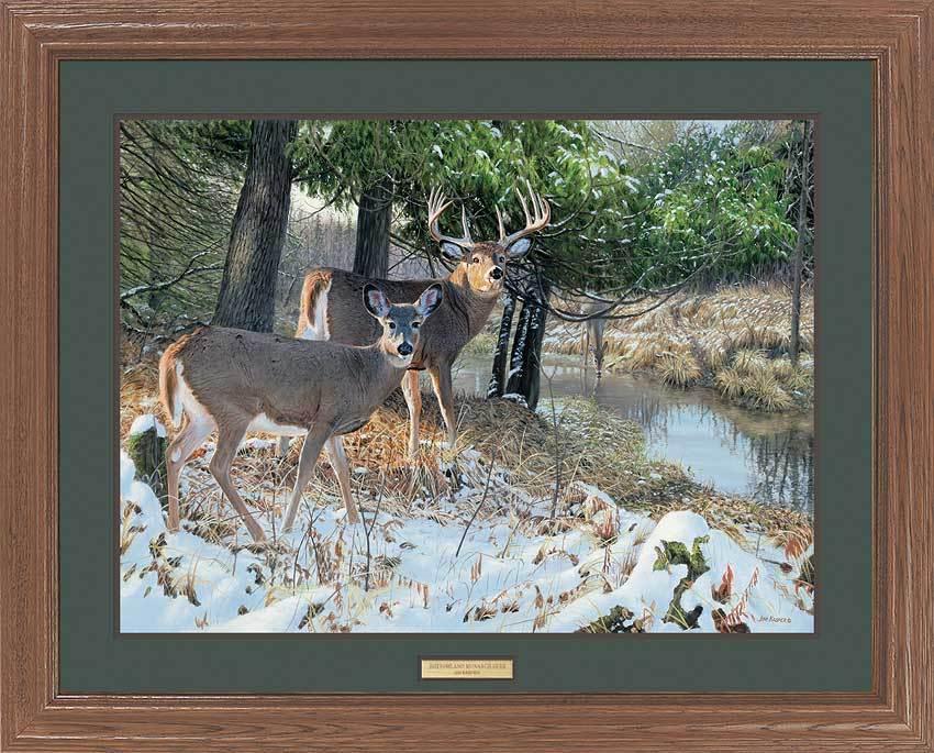 bottomland-monarch-whitetail-deer-by-jim-kasper-EPR4231465d_2557b0ce-8938-4704-9adb-d73a3497faae.jpg