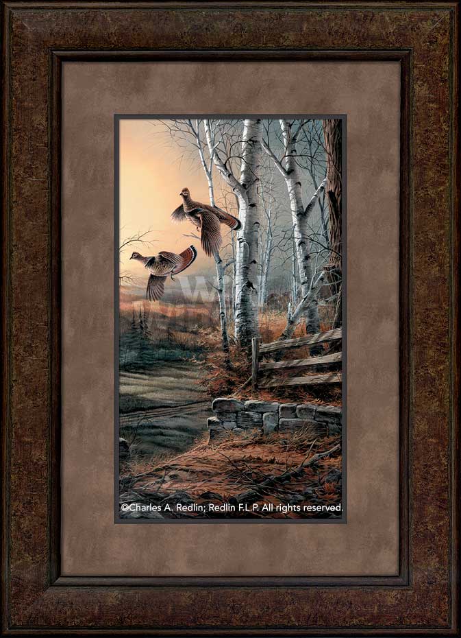 breaking-cover-pinnacle-framed-print-redlin-F701146517Cd.jpg
