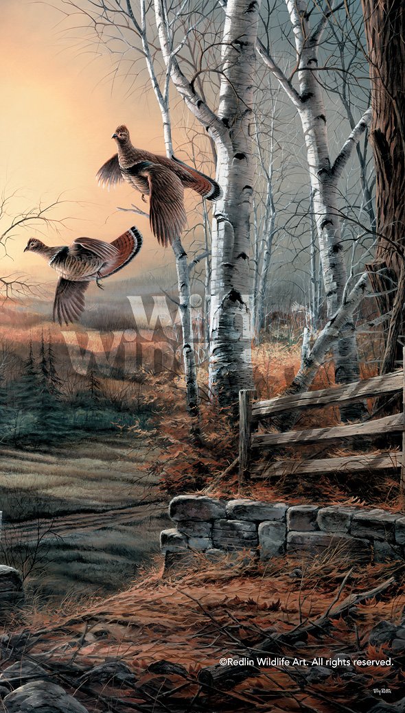 breaking-cover-pinnacle-print-redlin-1701146517d.jpg