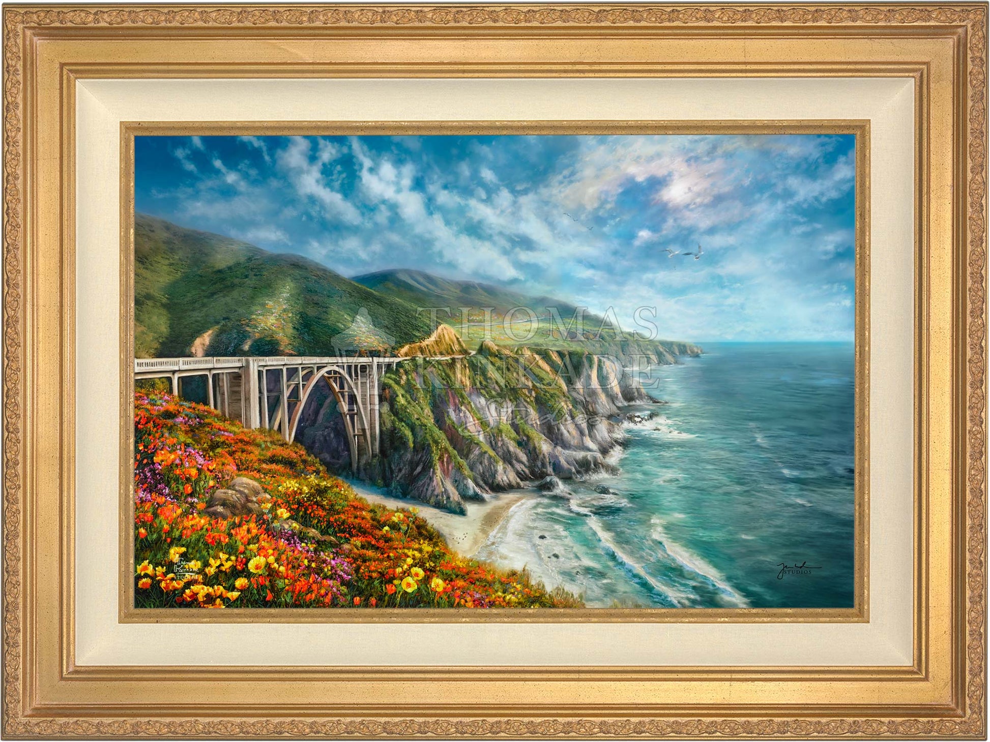 canvas_bigsur_antgld.jpg