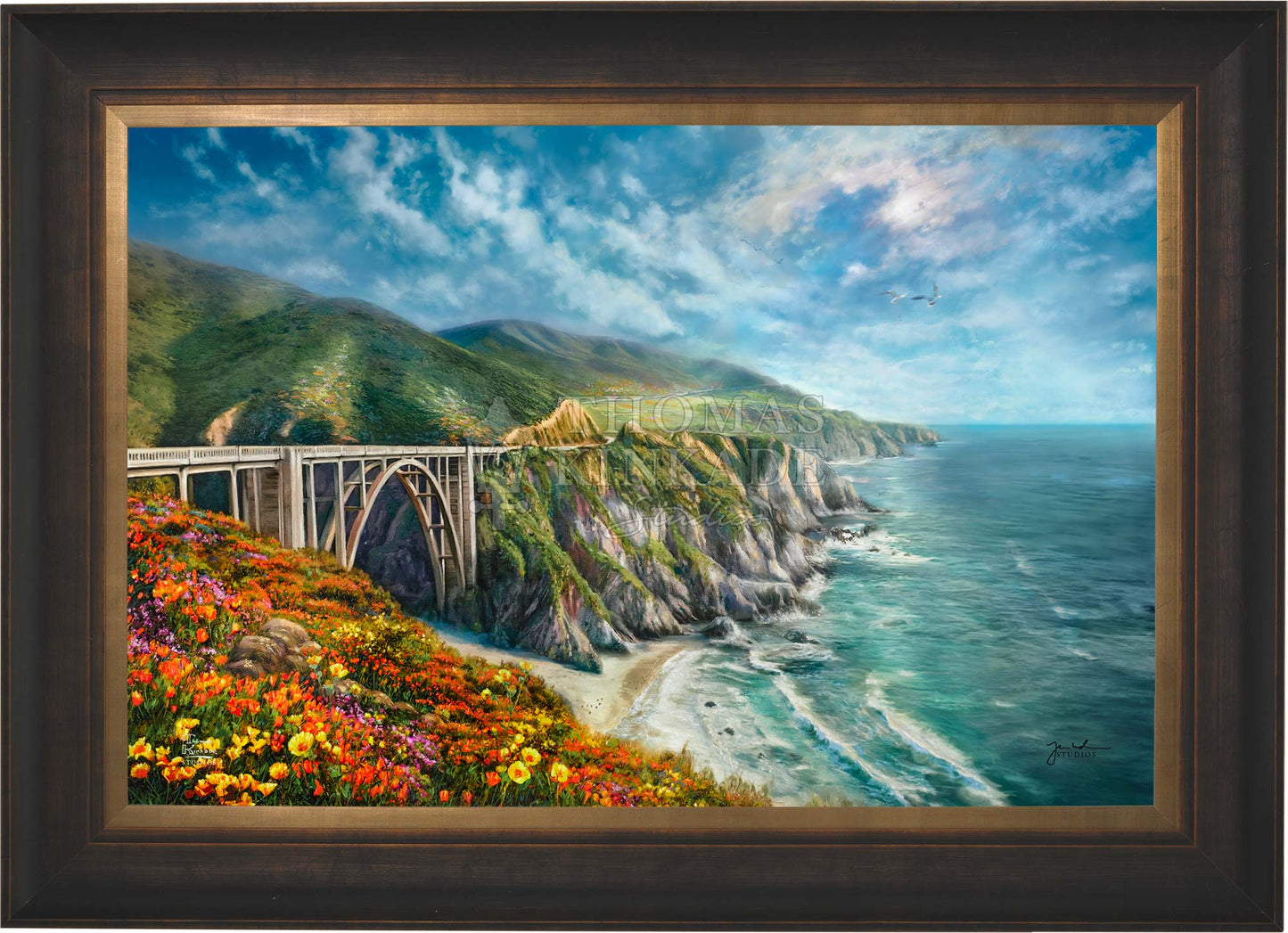 canvas_bigsur_estbzn.jpg