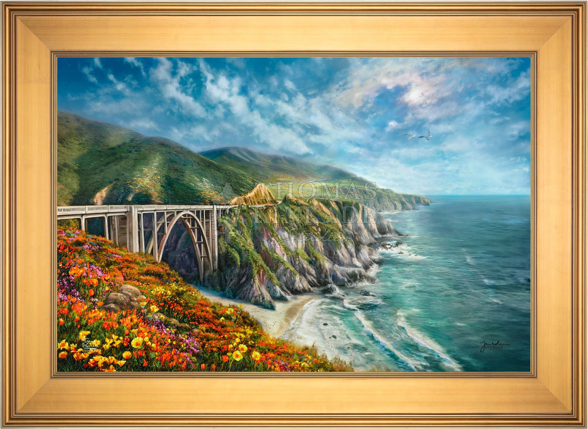 canvas_bigsur_galgld.jpg