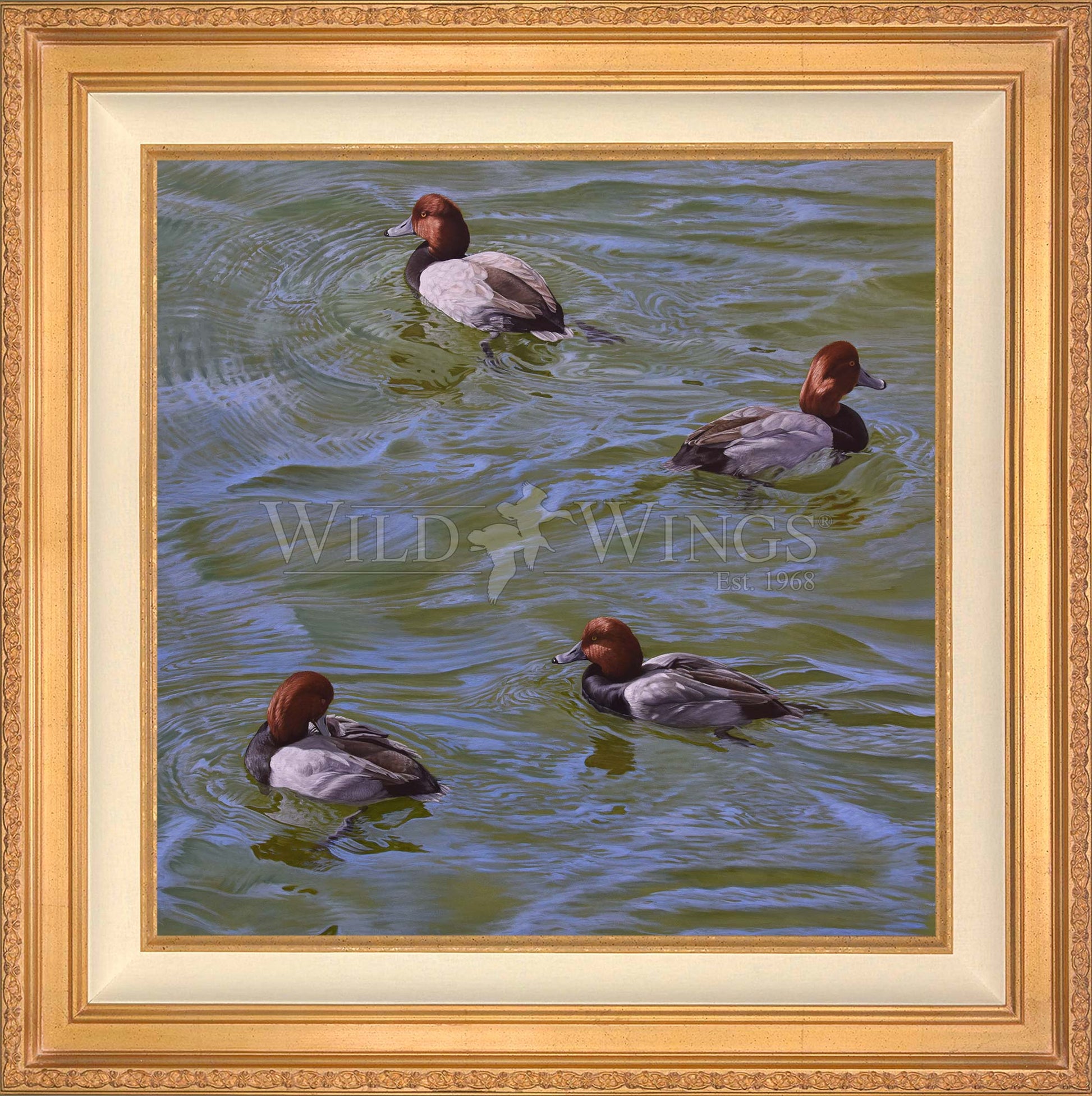 Framed swimming ducks