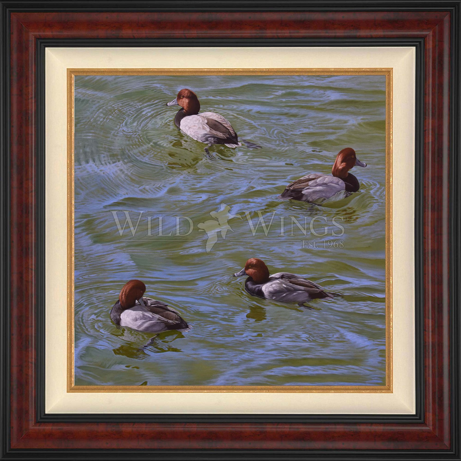 Framed swimming ducks