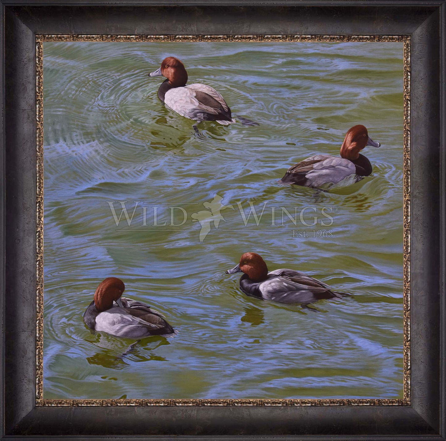 Framed swimming ducks