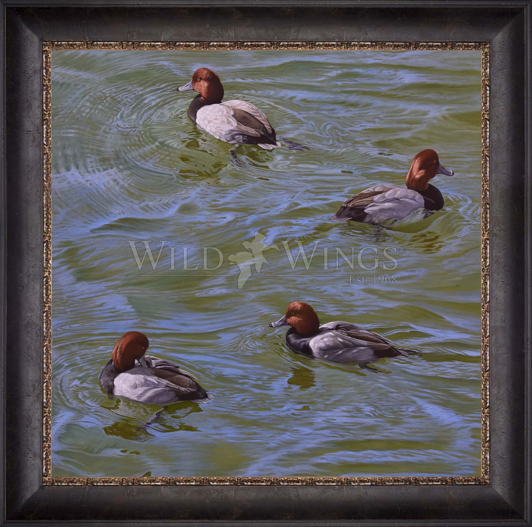 Framed swimming ducks