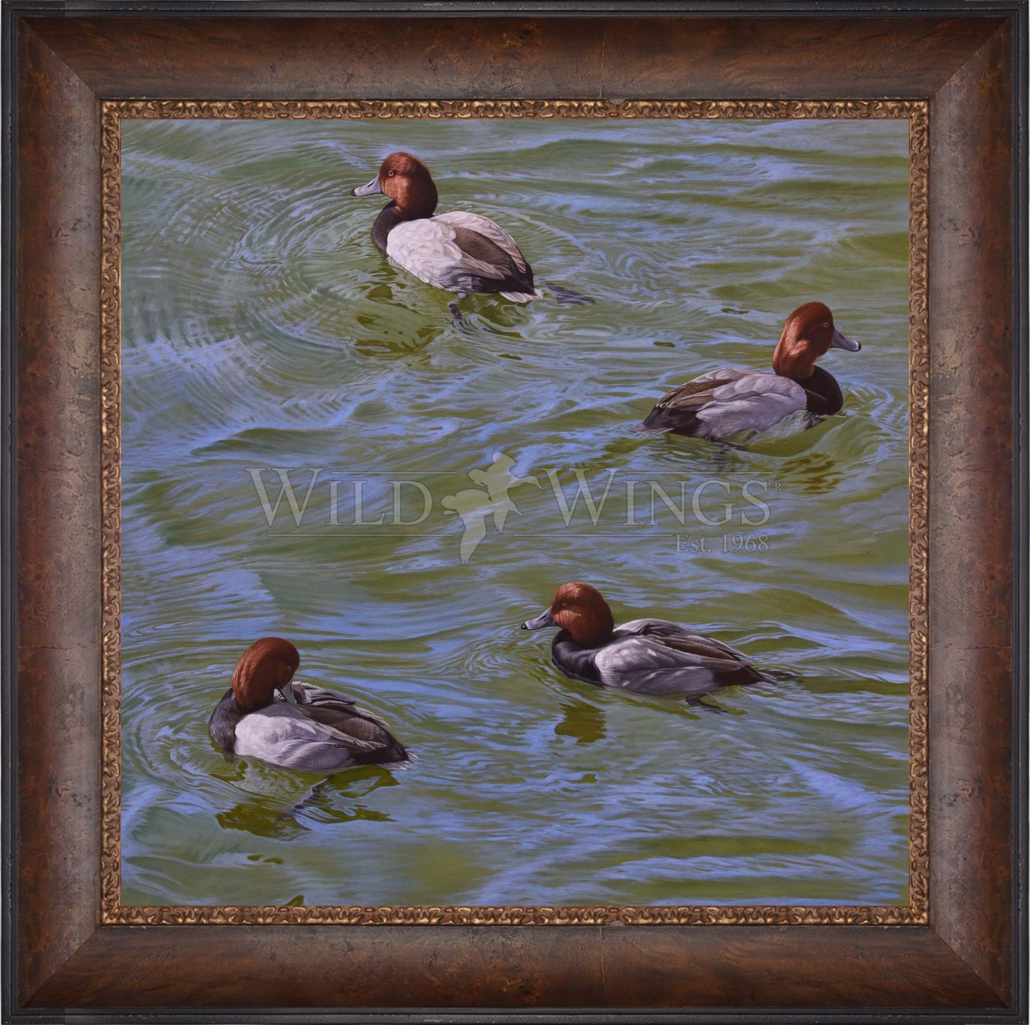 Framed swimming ducks
