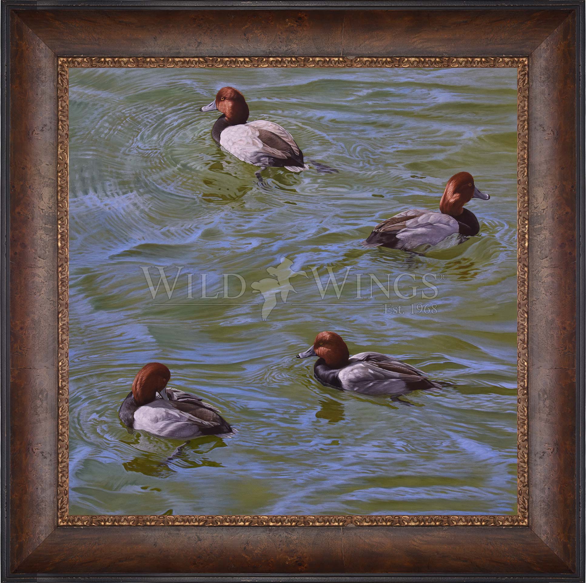 Framed swimming ducks