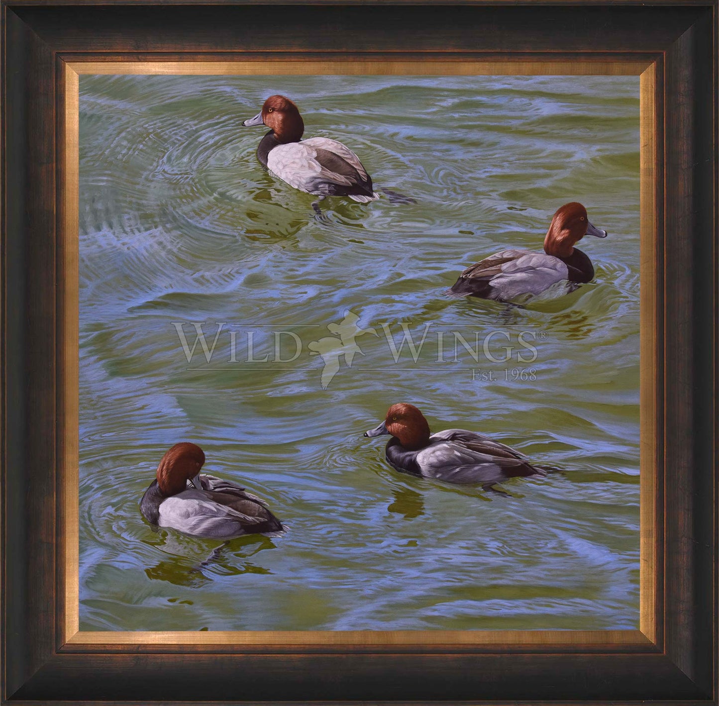 Framed swimming ducks