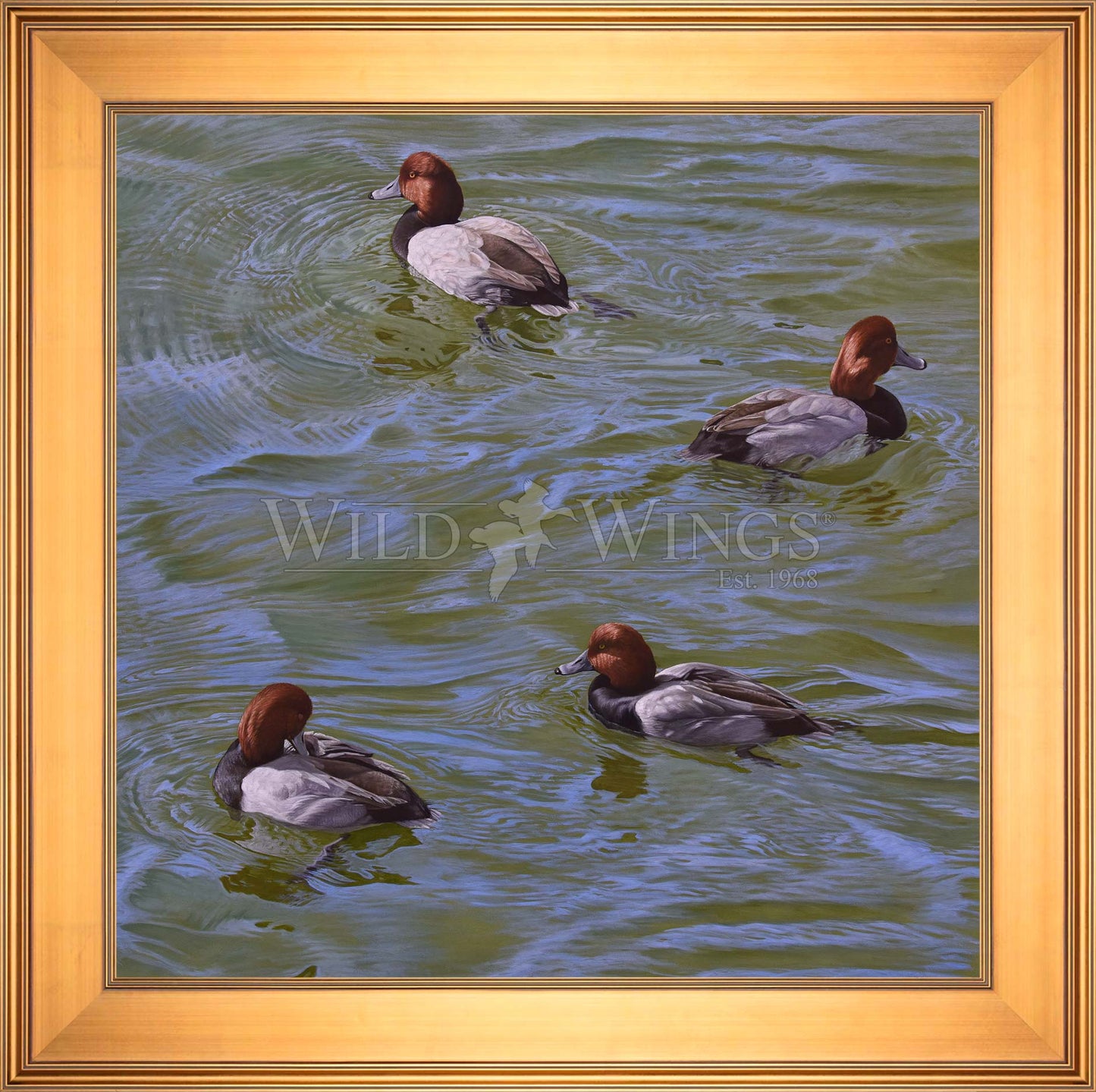 Framed swimming ducks
