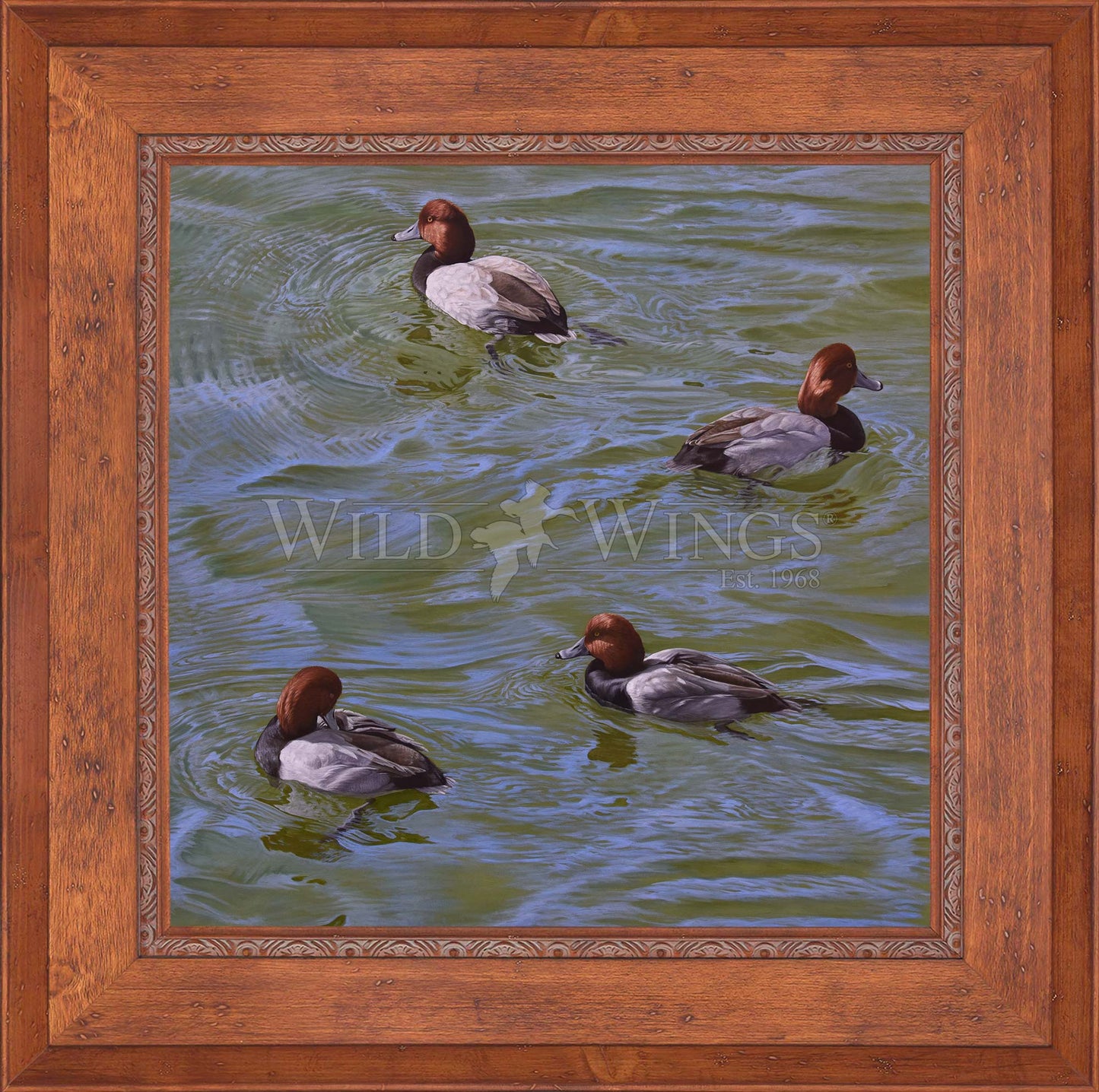 Framed swimming ducks