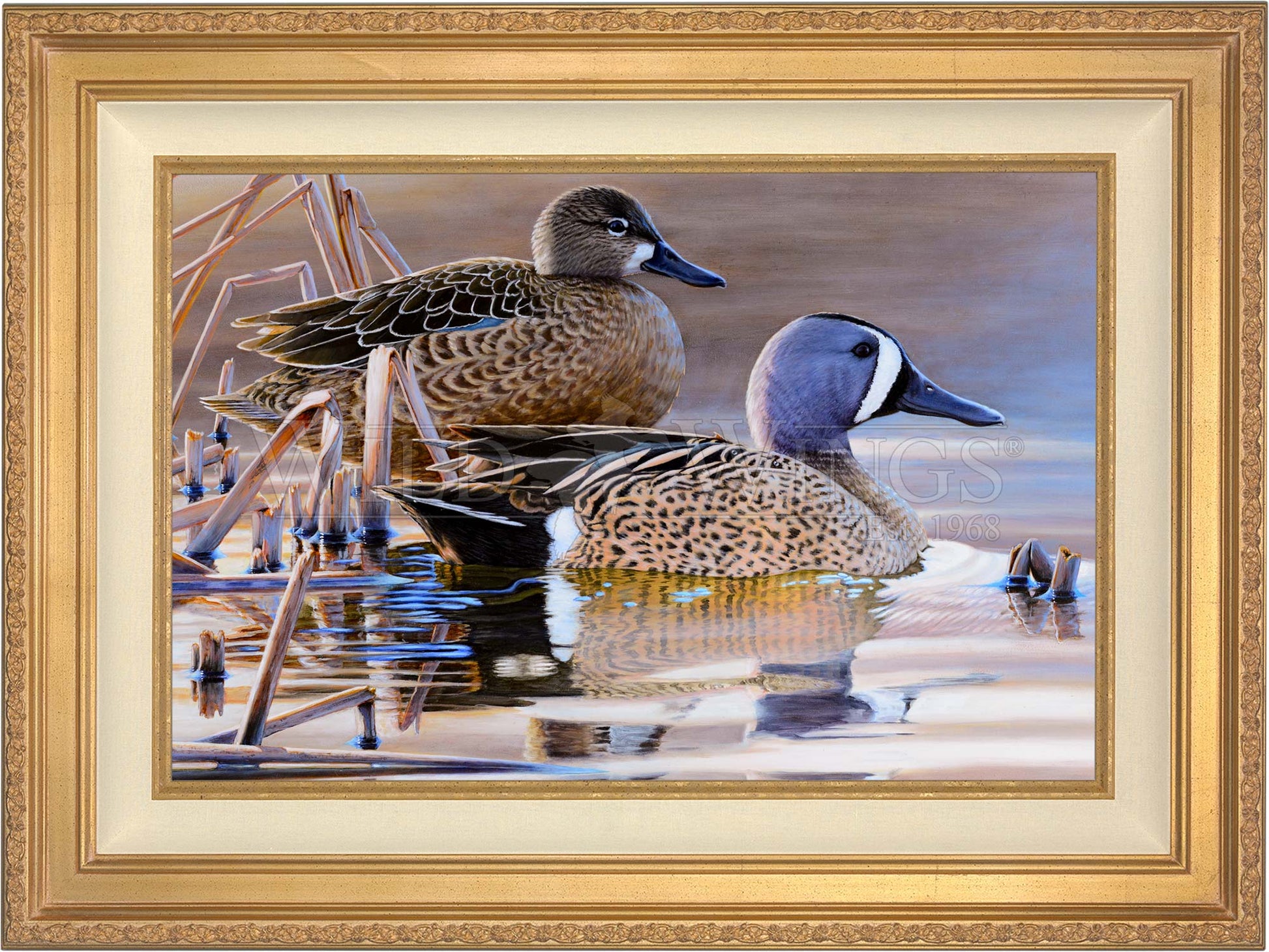Framed imaged of two ducks in the river