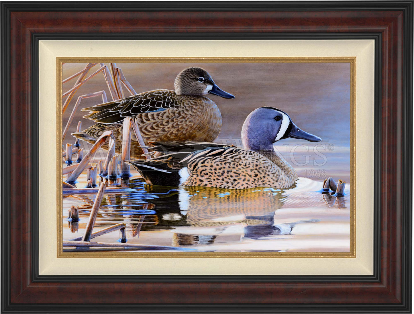 Framed imaged of two ducks in the river