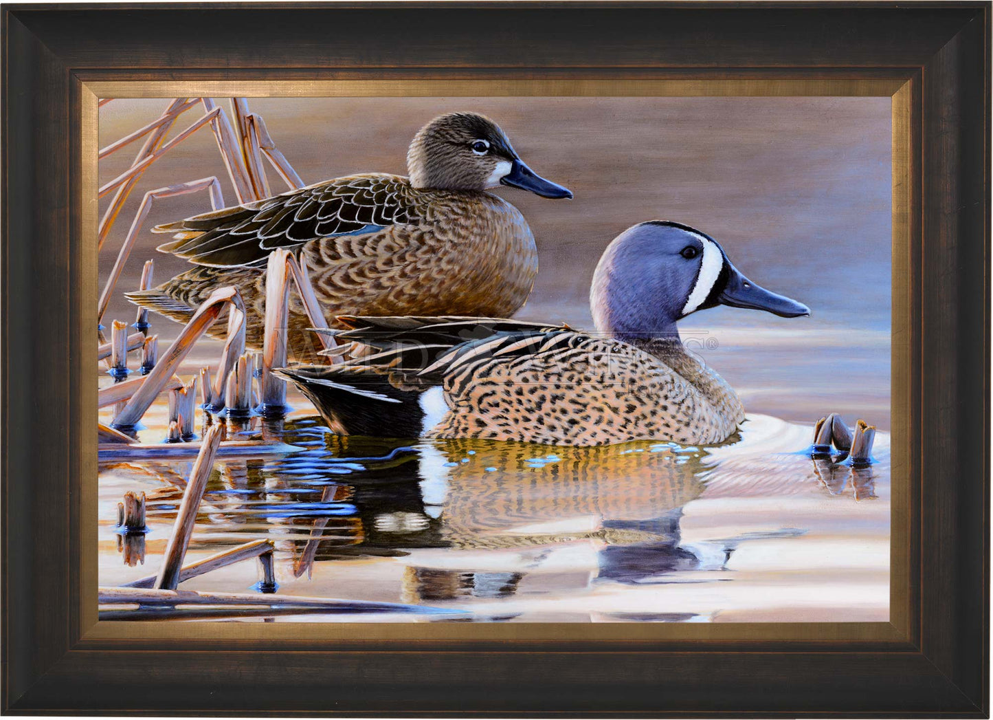 Framed imaged of two ducks in the river