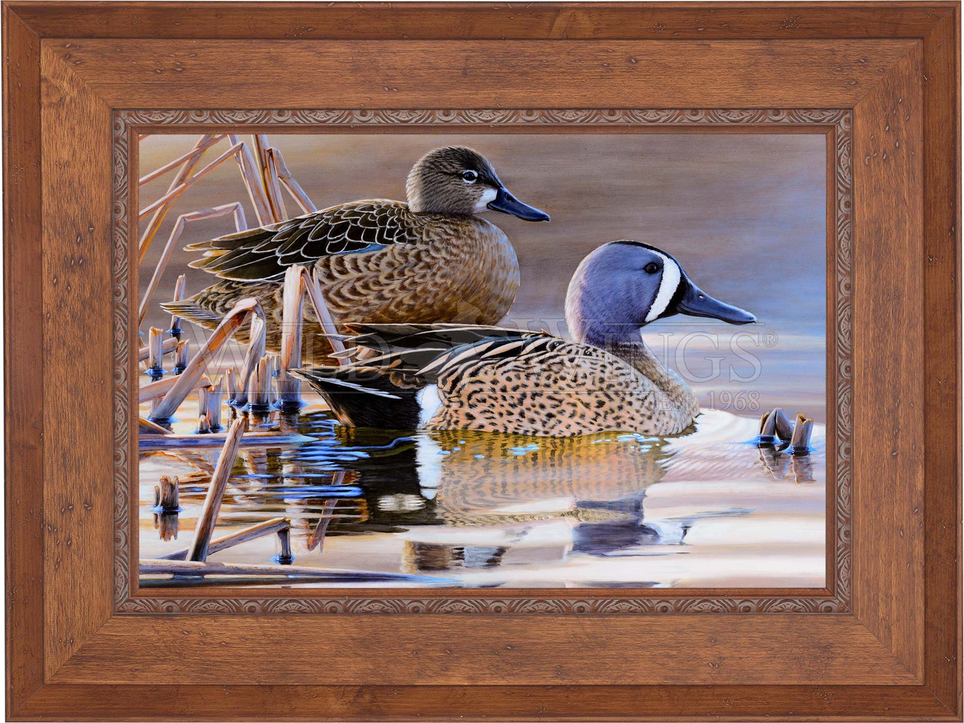 Framed imaged of two ducks in the river