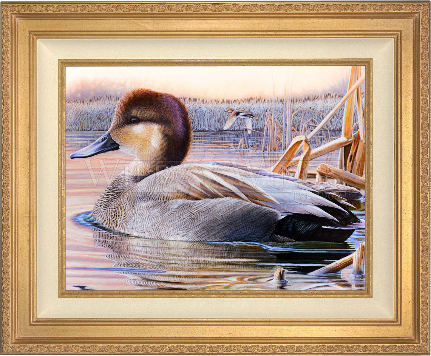 Framed image of a duck in waters