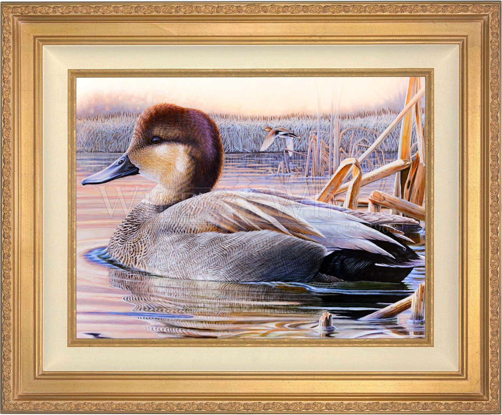 Framed image of a duck in waters