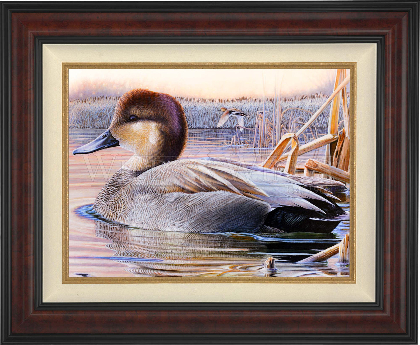Framed image of a duck in waters