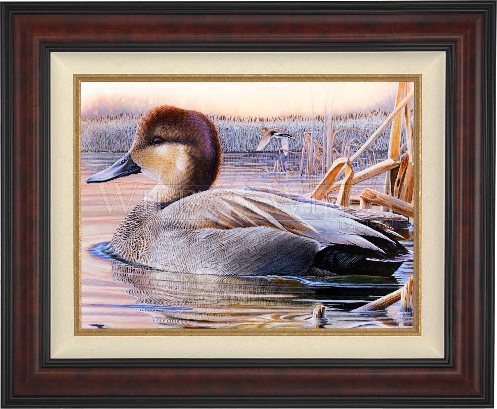 Framed image of a duck in waters