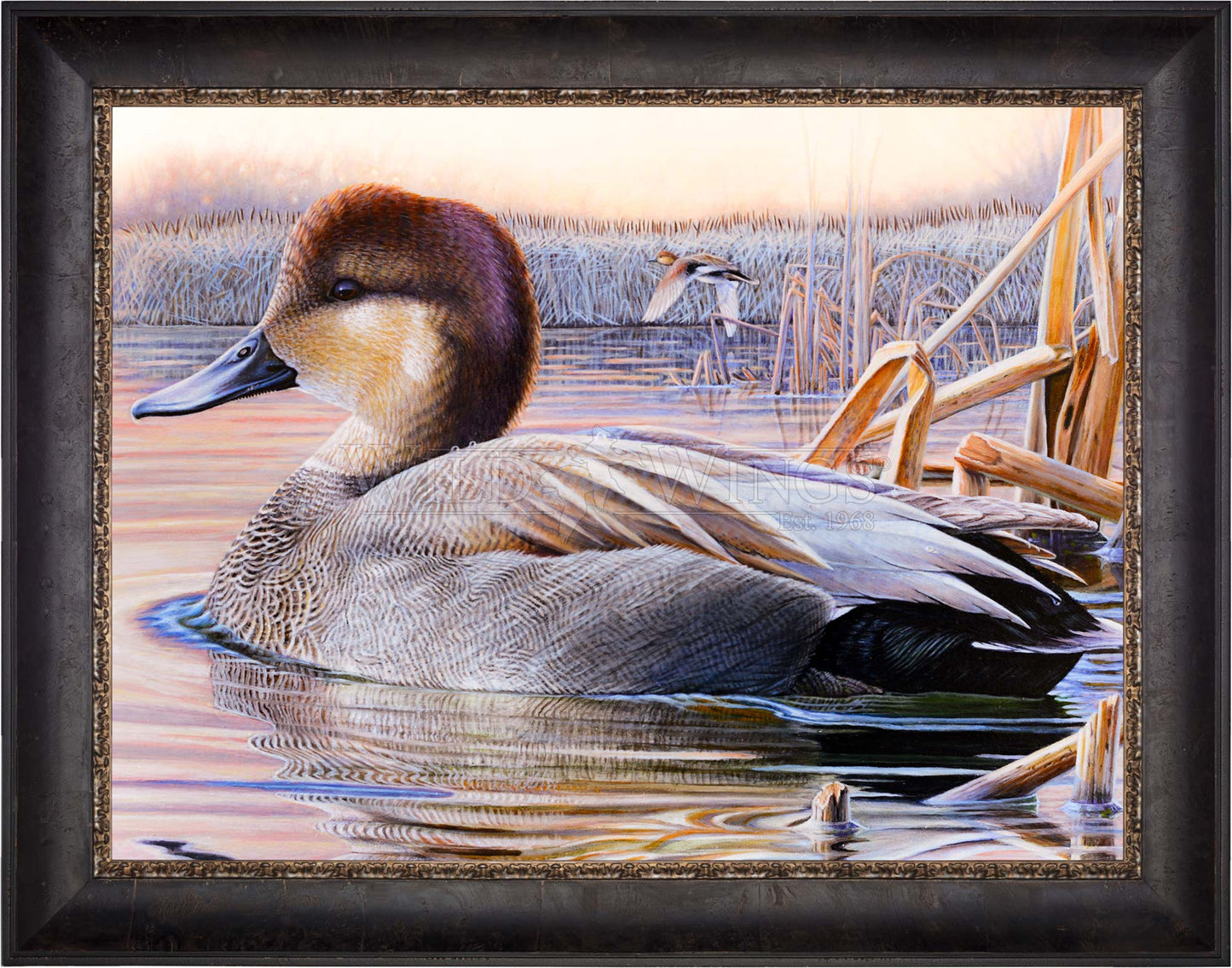 Framed image of a duck in waters