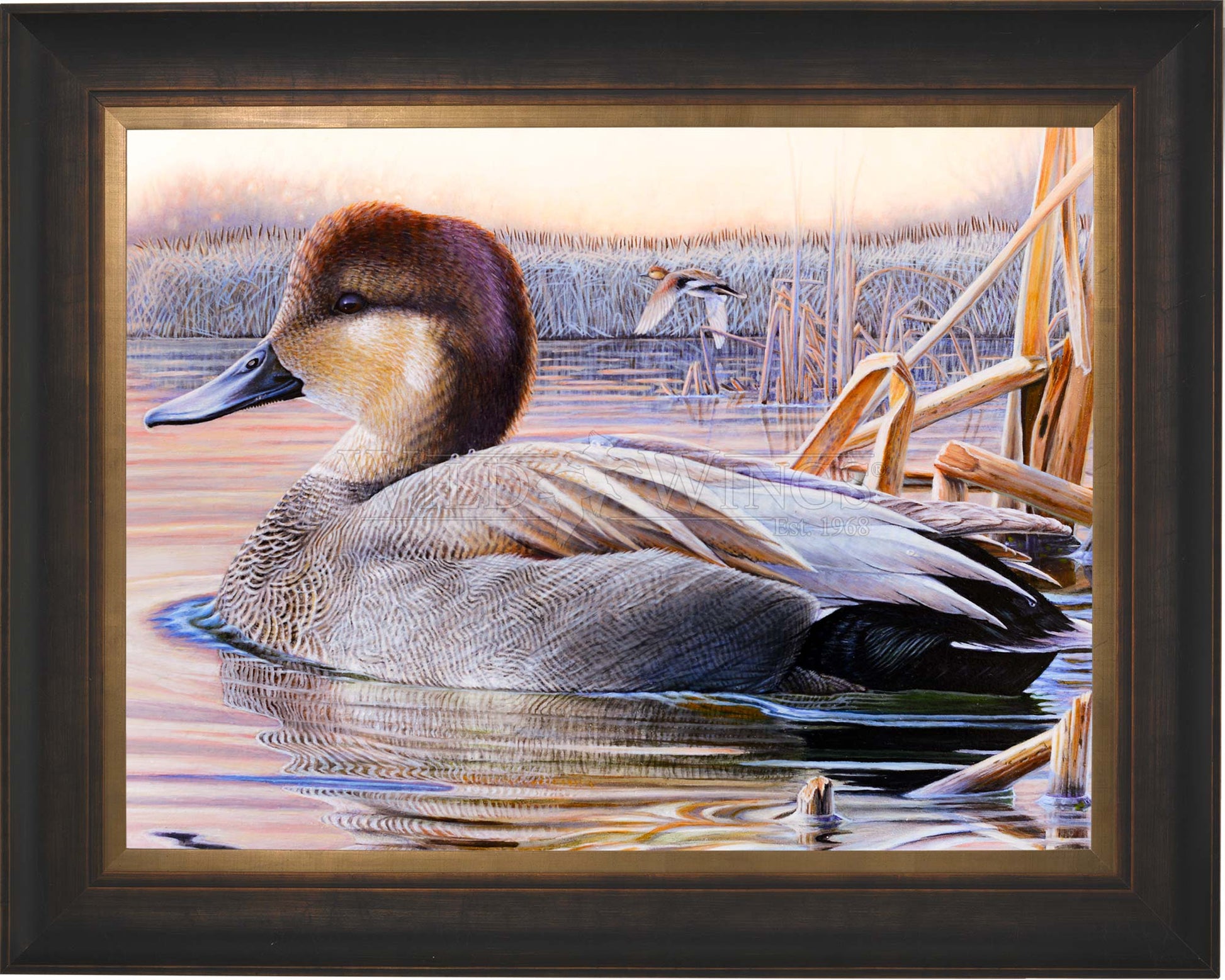 Framed image of a duck in waters