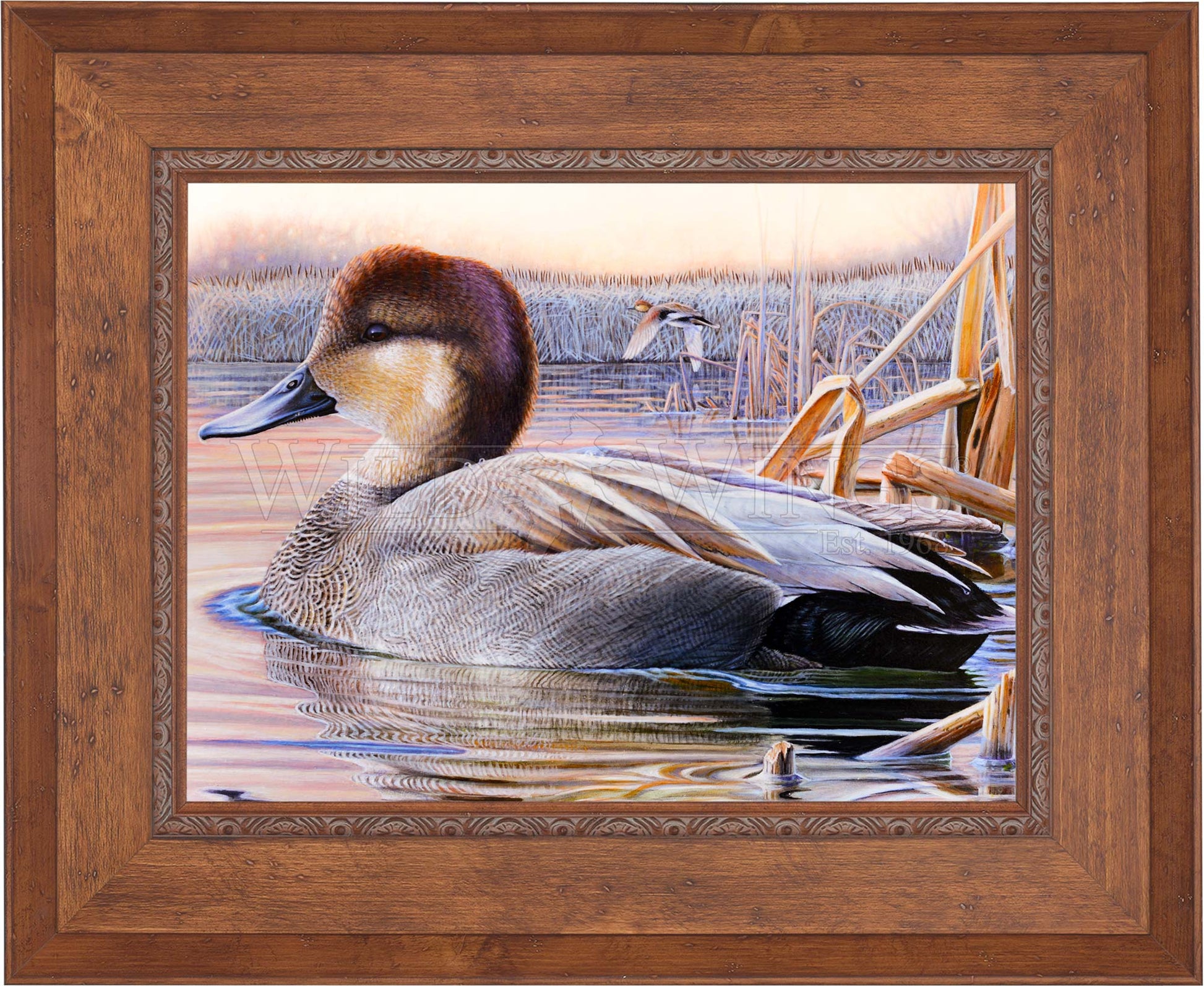 Framed image of a duck in waters