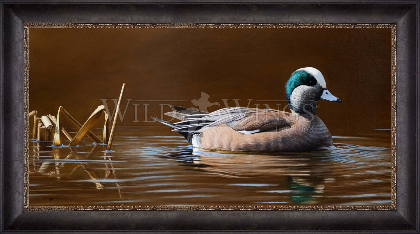 Framed duck in waters
