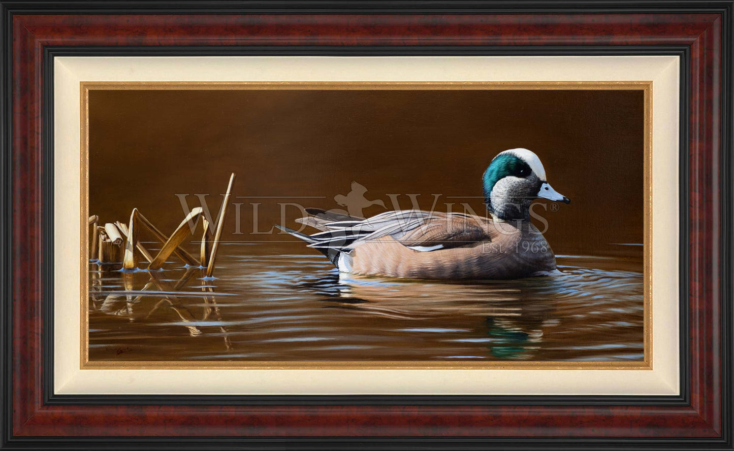 Framed duck in waters