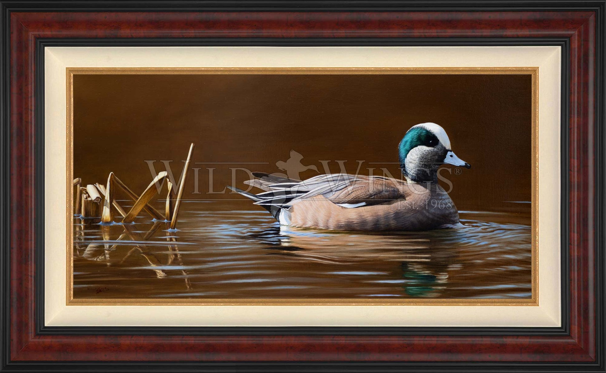 Framed duck in waters