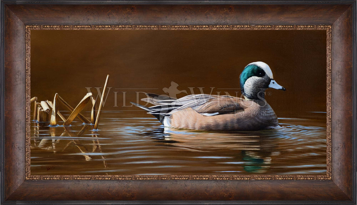 Framed duck in waters